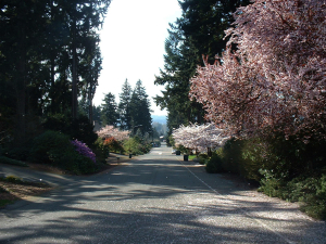 Spring - Street 2